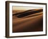 Sand Dune, Oregon Dunes National Recreation Area, Oregon, USA-Charles Gurche-Framed Photographic Print