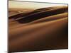 Sand Dune, Oregon Dunes National Recreation Area, Oregon, USA-Charles Gurche-Mounted Photographic Print
