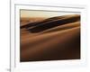 Sand Dune, Oregon Dunes National Recreation Area, Oregon, USA-Charles Gurche-Framed Photographic Print