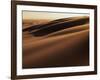 Sand Dune, Oregon Dunes National Recreation Area, Oregon, USA-Charles Gurche-Framed Photographic Print