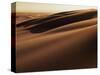 Sand Dune, Oregon Dunes National Recreation Area, Oregon, USA-Charles Gurche-Stretched Canvas