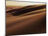 Sand Dune, Oregon Dunes National Recreation Area, Oregon, USA-Charles Gurche-Mounted Photographic Print