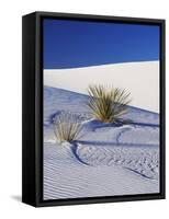 Sand Dune Patterns and Yucca Plants-Terry Eggers-Framed Stretched Canvas