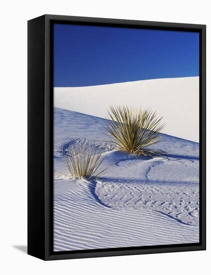 Sand Dune Patterns and Yucca Plants-Terry Eggers-Framed Stretched Canvas