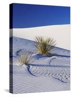 Sand Dune Patterns and Yucca Plants-Terry Eggers-Stretched Canvas