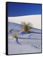 Sand Dune Patterns and Yucca Plants-Terry Eggers-Framed Stretched Canvas