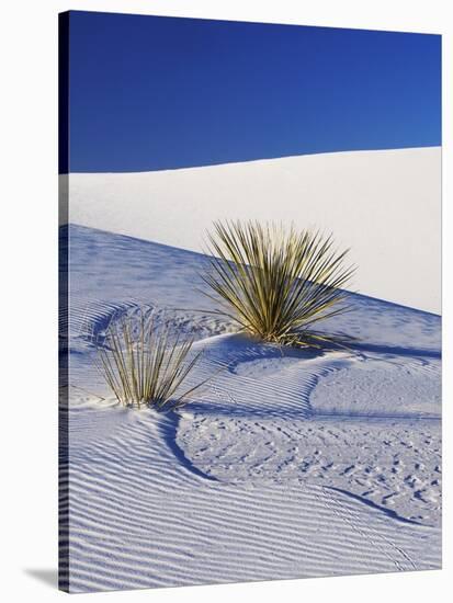 Sand Dune Patterns and Yucca Plants-Terry Eggers-Stretched Canvas