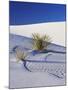 Sand Dune Patterns and Yucca Plants-Terry Eggers-Mounted Premium Photographic Print