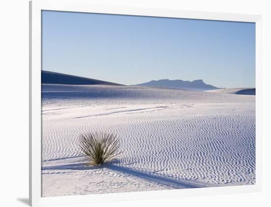 Sand Dune Patterns and Yucca Plants-Terry Eggers-Framed Photographic Print