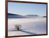 Sand Dune Patterns and Yucca Plants-Terry Eggers-Framed Photographic Print