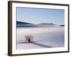 Sand Dune Patterns and Yucca Plants-Terry Eggers-Framed Photographic Print