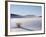 Sand Dune Patterns and Yucca Plants-Terry Eggers-Framed Photographic Print