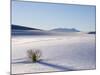 Sand Dune Patterns and Yucca Plants-Terry Eggers-Mounted Photographic Print