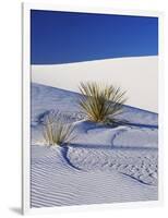 Sand Dune Patterns and Yucca Plants-Terry Eggers-Framed Photographic Print