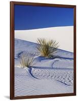 Sand Dune Patterns and Yucca Plants-Terry Eggers-Framed Photographic Print