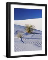 Sand Dune Patterns and Yucca Plants-Terry Eggers-Framed Photographic Print