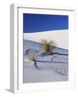 Sand Dune Patterns and Yucca Plants-Terry Eggers-Framed Photographic Print