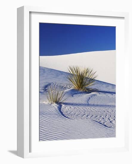 Sand Dune Patterns and Yucca Plants-Terry Eggers-Framed Photographic Print