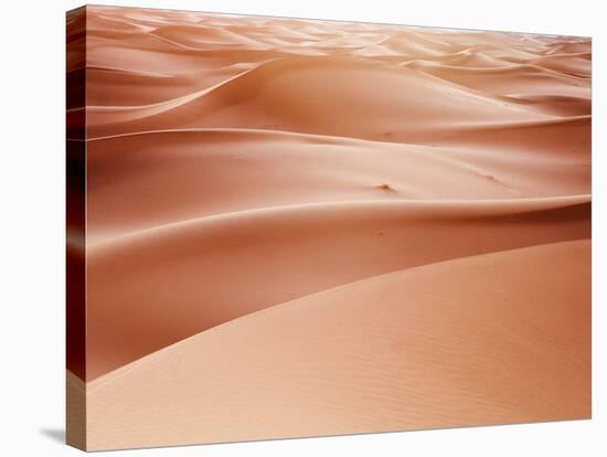 Sand Dune Ridges, Morocco-Ethan Welty-Stretched Canvas