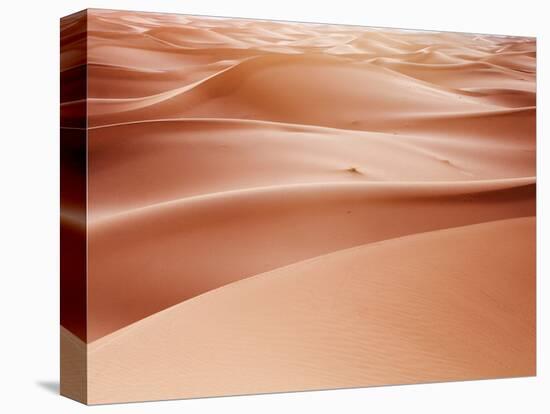 Sand Dune Ridges, Morocco-Ethan Welty-Stretched Canvas