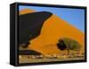 Sand Dune, Sossusvlei Dune Field, Namib-Naukluft Park, Namib Desert, Namibia, Africa-Steve & Ann Toon-Framed Stretched Canvas