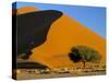 Sand Dune, Sossusvlei Dune Field, Namib-Naukluft Park, Namib Desert, Namibia, Africa-Steve & Ann Toon-Stretched Canvas