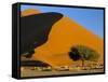 Sand Dune, Sossusvlei Dune Field, Namib-Naukluft Park, Namib Desert, Namibia, Africa-Steve & Ann Toon-Framed Stretched Canvas