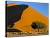 Sand Dune, Sossusvlei Dune Field, Namib-Naukluft Park, Namib Desert, Namibia, Africa-Steve & Ann Toon-Stretched Canvas