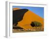 Sand Dune, Sossusvlei Dune Field, Namib-Naukluft Park, Namib Desert, Namibia, Africa-Steve & Ann Toon-Framed Photographic Print