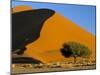 Sand Dune, Sossusvlei Dune Field, Namib-Naukluft Park, Namib Desert, Namibia, Africa-Steve & Ann Toon-Mounted Photographic Print