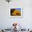 Sand Dune, Sossusvlei Dune Field, Namib-Naukluft Park, Namib Desert, Namibia, Africa-Steve & Ann Toon-Framed Photographic Print displayed on a wall