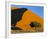 Sand Dune, Sossusvlei Dune Field, Namib-Naukluft Park, Namib Desert, Namibia, Africa-Steve & Ann Toon-Framed Photographic Print