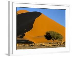 Sand Dune, Sossusvlei Dune Field, Namib-Naukluft Park, Namib Desert, Namibia, Africa-Steve & Ann Toon-Framed Photographic Print