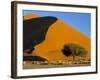 Sand Dune, Sossusvlei Dune Field, Namib-Naukluft Park, Namib Desert, Namibia, Africa-Steve & Ann Toon-Framed Photographic Print