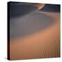 Sand Dune-Micha Pawlitzki-Stretched Canvas