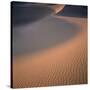 Sand Dune-Micha Pawlitzki-Stretched Canvas