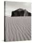Sand Dune-Lee Peterson-Stretched Canvas