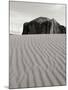 Sand Dune-Lee Peterson-Mounted Photographic Print