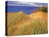 Sand Dunes Along Lake Superior at Pictured Rocks National Seashore, Grand Marais, Michigan, USA-Chuck Haney-Stretched Canvas