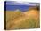 Sand Dunes Along Lake Superior at Pictured Rocks National Seashore, Grand Marais, Michigan, USA-Chuck Haney-Stretched Canvas
