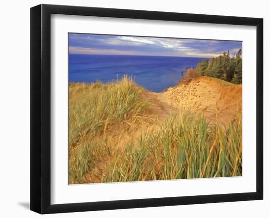 Sand Dunes Along Lake Superior at Pictured Rocks National Seashore, Grand Marais, Michigan, USA-Chuck Haney-Framed Photographic Print
