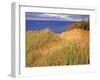 Sand Dunes Along Lake Superior at Pictured Rocks National Seashore, Grand Marais, Michigan, USA-Chuck Haney-Framed Photographic Print