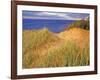 Sand Dunes Along Lake Superior at Pictured Rocks National Seashore, Grand Marais, Michigan, USA-Chuck Haney-Framed Photographic Print