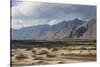 Sand Dunes along Shyok Valley-Guido Cozzi-Stretched Canvas