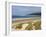 Sand Dunes and Borth Beach, Ynyslas, Borth, Dyfed, Wales, United Kingdom, Europe-Pearl Bucknall-Framed Photographic Print