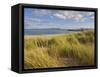 Sand Dunes and Dune Grasses of Mellon Udrigle Beach, Wester Ross, North West Scotland-Neale Clarke-Framed Stretched Canvas