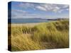 Sand Dunes and Dune Grasses of Mellon Udrigle Beach, Wester Ross, North West Scotland-Neale Clarke-Stretched Canvas