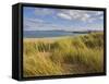 Sand Dunes and Dune Grasses of Mellon Udrigle Beach, Wester Ross, North West Scotland-Neale Clarke-Framed Stretched Canvas