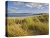 Sand Dunes and Dune Grasses of Mellon Udrigle Beach, Wester Ross, North West Scotland-Neale Clarke-Stretched Canvas