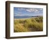 Sand Dunes and Dune Grasses of Mellon Udrigle Beach, Wester Ross, North West Scotland-Neale Clarke-Framed Photographic Print